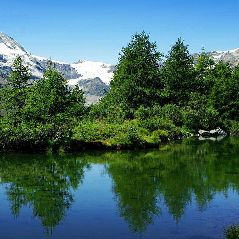 Careful handling of our resources